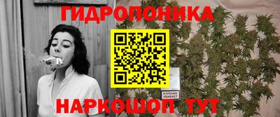 крисы Ирбит