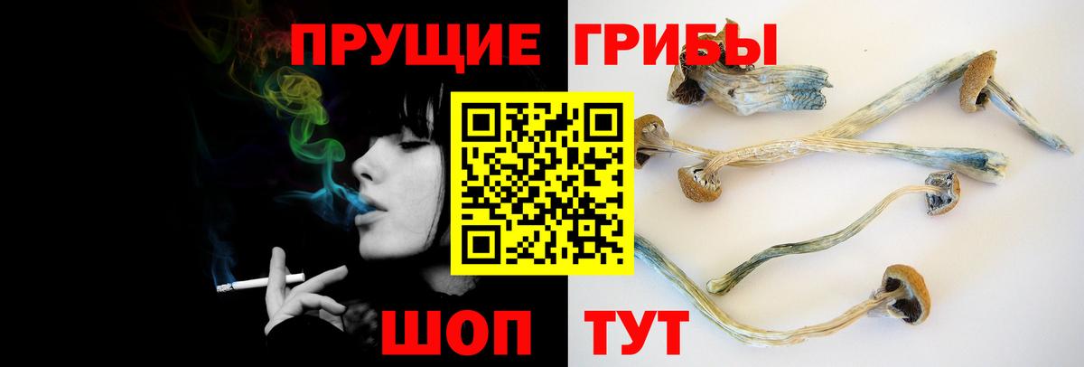 Миллерово  Псилоцибиновые грибы Cubensis  Вход с VPN 